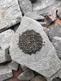 Pinhead Gunpowder