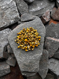 Camomile